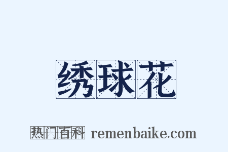 绣球花是什么意思的图片